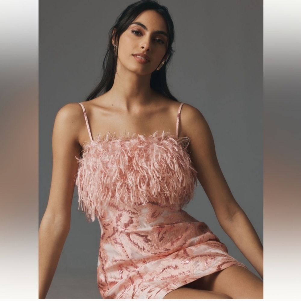 NWT Anthropologie dress Feather Dress